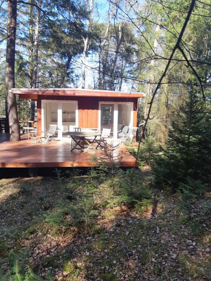 Guest House In The Forest Vejby Eksteriør billede